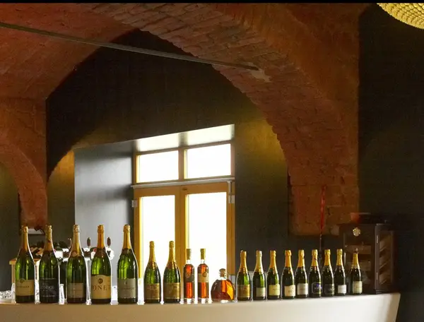 Grand Jour de Champagne 2009, photo 38