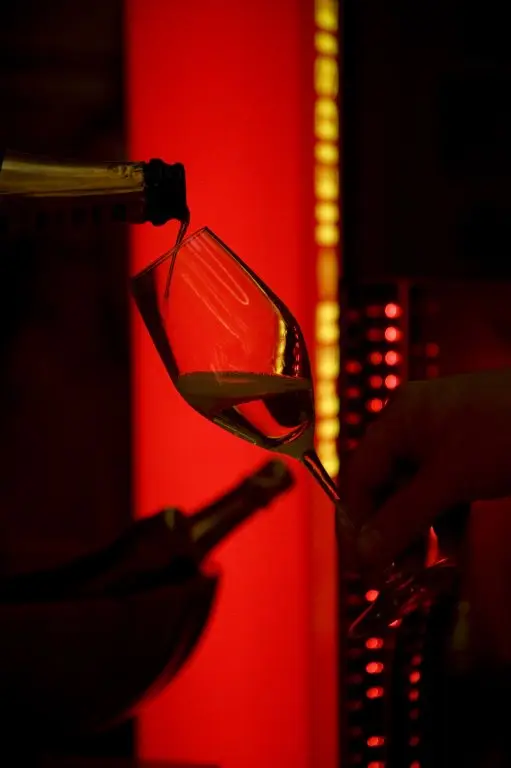Grand Jour de Champagne 2011, photo 20