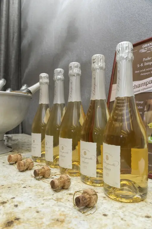 Grand Jour de Champagne 2014, photo 30