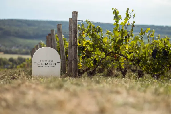 Telmont